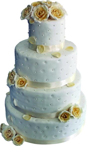 detaljan prikaz proizvoda